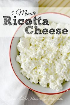 Homemade Ricotta Cheese Recipe - Little House Living Ricotta Cheese Recipe, Homemade Ricotta Cheese, Cheese Sauces, Cheese Recipes Homemade, Cheese Making Recipes, Ricotta Cheese Recipes, Homemade Ricotta, Diy Cheese, Salad Pasta