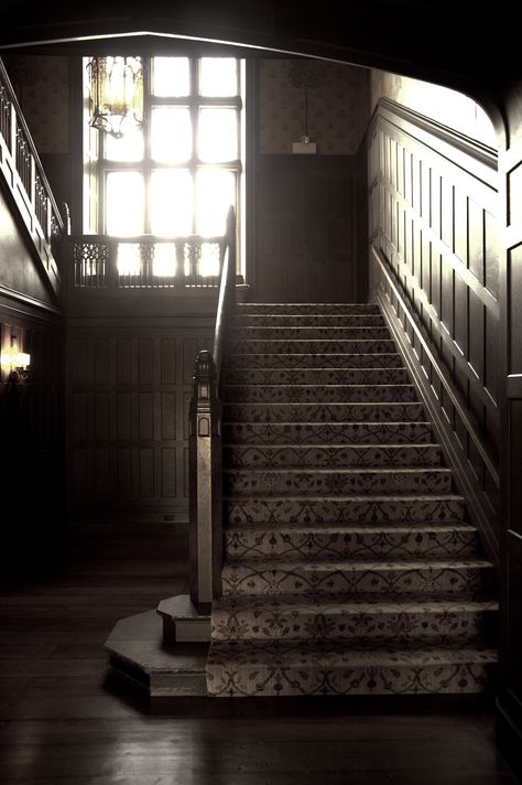 Vintage Staircase Aesthetic, Slender Mansion Aesthetic, Heelshire Mansion, Slender Mansion, Old Staircase, Old Mansions Interior, Brahms Heelshire, Grimmauld Place, Mansion Aesthetic