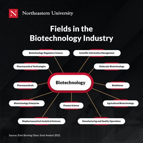 Biotechnology Aesthetic, Biotechnology Careers, Biology Jobs, Biotechnology Art, Biology Major, Study Biology, Cv Format, Medical Laboratory Science, Biomedical Science