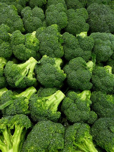 Calabrese Broccoli | by arbyreed Green Fruit And Vegetables, Seasoned Broccoli, Palm Tree Fruit, Brassica Oleracea, List Of Vegetables, Fresh Broccoli, Superfoods, Fruits And Vegetables, Broccoli