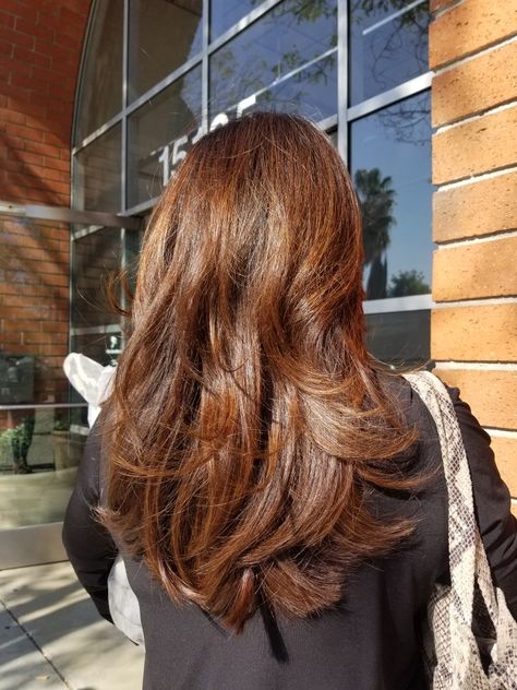 Autumn Red Hair Color, True Autumn Hair, Brunette Ginger Hair, Ginger Balayage On Brown Hair, True Autumn Hair Color, Copper Highlights On Brown Hair, Hairstyles Layers, Cowboy Copper Hair, Copper Brown Hair