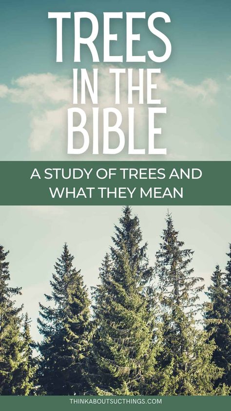 Curious about trees in the Bible? Check out the different trees what tree symbolism is and what these trees mean in the Bible. Bible Symbolism, Tree Bible Verse, Tree Of Life Quotes, Tree Symbolism, Bible Family Tree, Biblical Garden, Bible Garden, Tree Meanings, Green Therapy