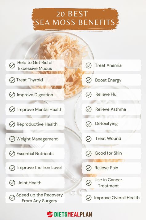 Sea moss is almost similar to any other algae. It has multiple health benefits. It can have a huge positive impact on your immune system, reproductive system, digestive system, and mental health. Here, we will discuss sea moss benefits. Visit our website for details of the benefits. #seamoss #healthyfoods #superfood #healthylife #healthyeating #healthyeats Benefits Of Seamoss Gel, Seamoss Benefits For Women, Dessert Smoothie Recipes, Benefits Of Seamoss, Sea Moss Recipes, Sea Moss Benefits, Benefits Of Sea Moss, Seamoss Benefits, Herbal Health