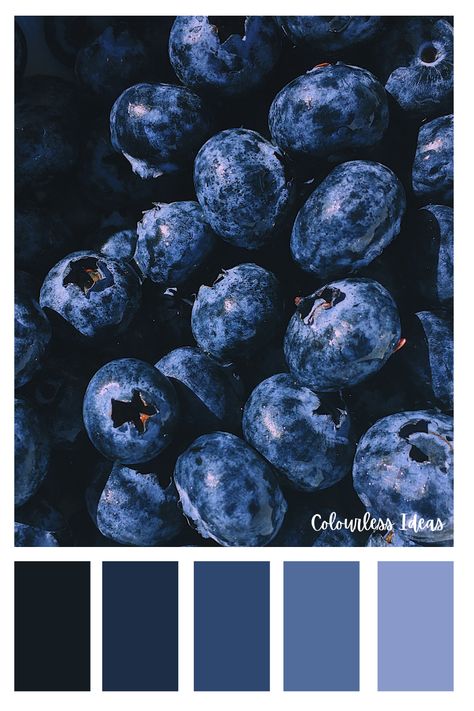 Dark Blue Shades Colour Palettes, Blueberry Colour Palette, Dark Blue Colour Scheme, Black And Blue Palette, Color Palette With Dark Blue, Dark Blue Pallete Color, Royal Blue Colour Palette, Blueberry Color Palette, Blue Colour Pallete