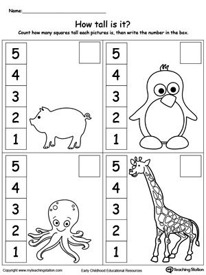 How Tall Are The Animals?: Practice linear measurement and reading scales with this printable worksheet. Measurement Worksheets Preschool, Measuring Worksheets Preschool, Measuring Activities For Preschool Free Printables, Length Measurement Worksheets, Measuring Length Worksheet Grade 1, 2nd Grade Math Measurement Worksheets, Spring Math Activities Kindergarten, Measurement Preschool, Kindergarten Measurement Activities