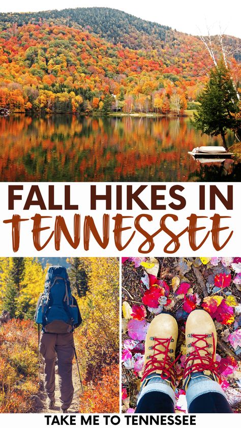 Tennessee Hikes, Hikes Near Nashville Tn, Best Hikes In Tennessee, Nashville Hiking, Tennessee Hiking Trails, Hiking In East Tennessee, Hiking List, Smokey Mountains Tennessee Hiking, Tennessee Attractions