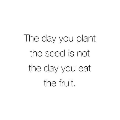 It's a long term game - something you start and work hard to achieve! The Day You Plant The Seed Is Not, The Day You Plant The Seed, Seed Quotes Inspiration, The Day You Plant The Seed Quote, Quotes About Endurance, Plant A Seed Quote, Plant The Seed Quote, Fruit Quotes Inspirational, Fruitful Quotes