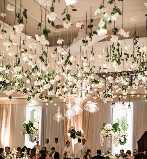 Hanging Decor For Wedding, White Roses Hanging From Ceiling Wedding, White Roses Hanging From Ceiling, Pink Flowers Hanging From Ceiling, Simple Wedding Ceiling Decorations, White Wedding Ceiling Decor, Flowers On Ceiling Wedding, Roses Hanging From Ceiling Wedding, Wedding Flowers From Ceiling