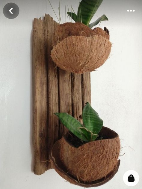 Palm Tree Crafts, Twig Furniture, Orchid Flower Arrangements, Coconut Shell Crafts, Shell Planter, Hand Painted Wine Bottles, Shell Crafts Diy, Diy Plant Hanger, Flower Arrangements Simple