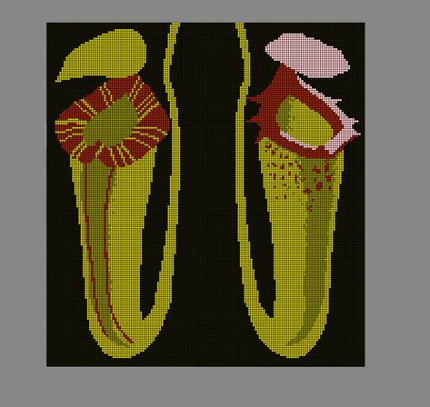 Pattern for Pitcher Plants (Nepenthes) blanket / tapestry. This pattern comes with both a graph and written directions. Tapestry Crochet / graphgan. Carnivorous Plants / Nepenthaceae / Sarraceniaceae / Cephalotaceae / Bromeliaceae Crochet Pitcher Plant, Plants Crochet, Crochet Graphgan, Mushroom Crochet, Pitcher Plants, Blanket Tapestry, Blanket Crochet Pattern, Crochet Blanket Pattern, Medium Weight Yarn