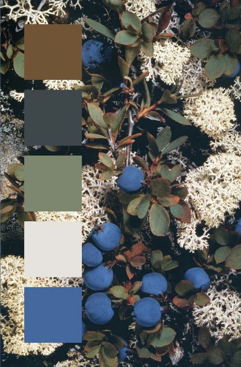 Colors That Go With Natural Wood, Sky Blue And Forest Green Wedding, Navy Blue And Olive Green Home Decor, Blue Green Earth Tone Color Palette, Color Scheme With Dark Green, Blue And Earth Tones, Green Blue Wood Color Palette, Color Palette Inspired By Nature, Color Scheme Navy Blue