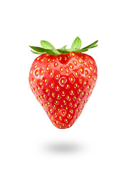 Strawberry Pictures, Strawberry Fruit, Drawing Reference, Royalty Free Images, Art Reference, First Time, The First, Royalty Free, Photoshop