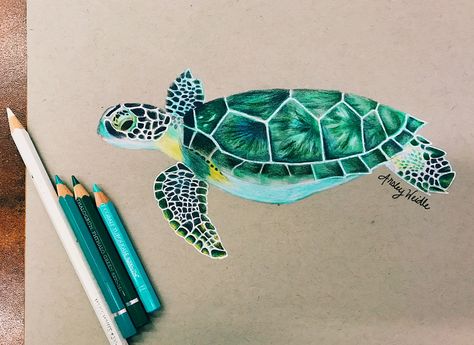 Sea turtle using colored pencil against grey paper. Sea Turtle Colored Pencil, Turtle Colored Pencil Drawing, Realism Drawings, Turtle Sketch, Sea Turtle Drawing, Colour Pencil Drawing, Pencil Inspiration, Childrens Art Projects, Sea Creatures Art