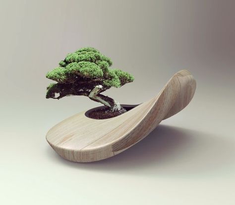 interesting, unconventional pot Bonsai Shapes, Bonsai Pot Design, Bonsai On Rock, Wood Bonsai Pots, Bonsai Plants Aesthetic, Mame Bonsai, Mini Bonsai, Japanese Bonsai, Bonsai Art