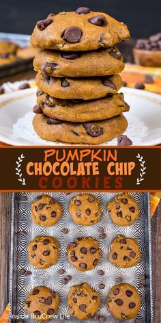 Pumpkin And Chocolate, Cookies Fall, Soft Pumpkin Cookies, Chocolate Homemade, Pumpkin Chocolate Chip, Pumpkin Chocolate Chip Cookies, Cookies Chocolate, Crinkle Cookies, Pumpkin Chocolate Chips