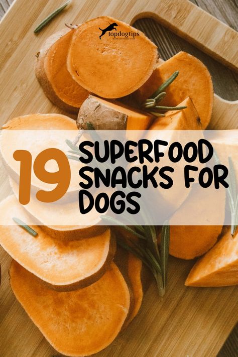 19 Superfood Dog Snacks for Every Pup Healthy Snacks For Dogs, Superfoods For Dogs, Fruits For Dogs Healthy, Canine Superfoods, Superfood Dog Treats, Harmful Food For Dogs, Dog Superfoods, Snacks For Dogs, Wellness Core Dog Food