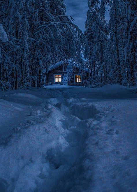 colour my world Snow Cabin, Alaska Winter, Snowy Cabin, A Cabin In The Woods, Snowy Woods, Cabin Aesthetic, Lapland Finland, Snow Forest, Forest Cabin