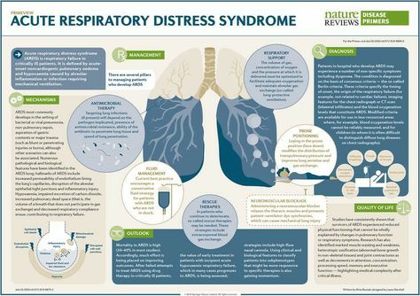 Respiratory Therapist Student, Acute Respiratory Distress, Registered Respiratory Therapist, Er Nursing, Wound Care Nursing, Respiratory Distress, Med Notes, Med Surg Nursing, Nursing School Essential