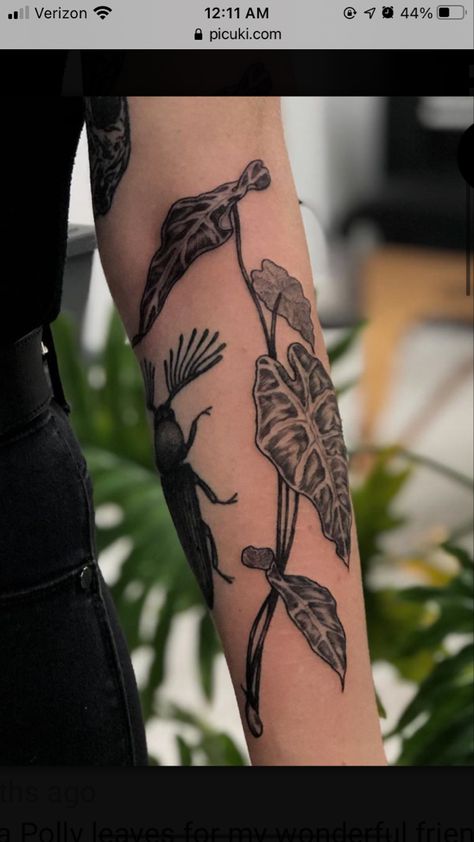 Arrowhead Plant Tattoo, Alocasia Plant Tattoo, Syngonium Tattoo, Alocasia Tattoo, Anthurium Tattoo, House Plant Tattoo, Serena Core, Tattoos Pretty, Earthy Tattoos