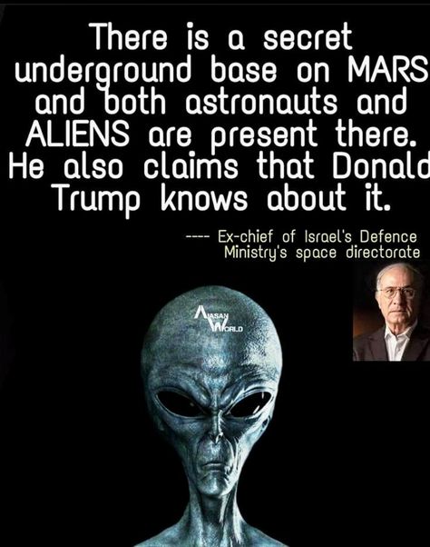 Aliens Facts, Proof Of Aliens, Reptilian People, Fringe Science, Alien Facts, Types Of Aliens, Alien Theories, Ufos Are Real, Alien Sightings