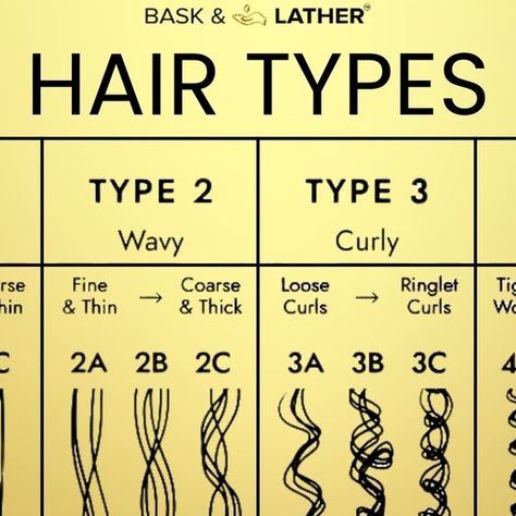 Bask&Lather Co ™ | 𝐻𝒜𝐼𝑅 𝒢𝑅𝒪𝒲𝒯𝐻 on Instagram: "What's your hair type? (Type 1, Type 2, Type 3, Type 4)  In celebration of National Clean Beauty Day we wanted to remind you that our products are all natural and safe for all hair types. 🙌🏾💛  #hairtypes #hairstyles #haircare #naturalhaircare #cleanbeauty #baskandlatherco #hairgrowth #hairtype #texturedhair #type4hair #type3hair #type2hair #kinkyhair #kinksandcoils #hairoil" Types Of African Hair Texture, How To Tell Your Hair Type, How To Know My Hair Type, What’s My Hair Type, Different Hair Types Chart, Types Of Natural Hair Textures, Hair Type Chart African Americans, What Type Of Curly Hair Do I Have, Hair Types Chart Texture