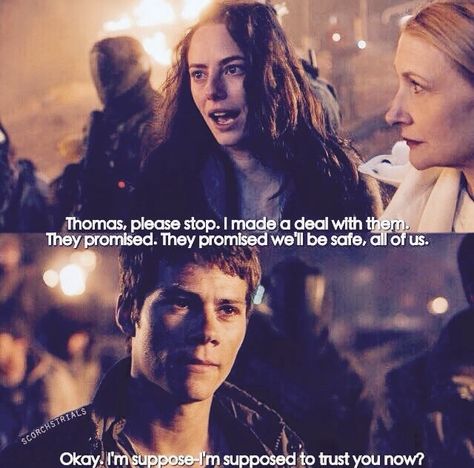 Image about the in ✦ Dylan O’Brien ✦ by ❀ ︎︎ ⍺ ᥉ ︎ ︎❀ Tmr Quotes, Thomas And Teresa, Maze Runner Characters, Maze Runer, Maze Runner Thomas, Maze Runner The Scorch, Harley Quinn Drawing, Maze Runner Funny, Maze Runner Movie