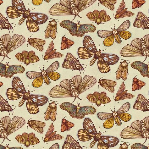 Moth Pattern on Behance Moth Pattern, Moth Illustration, Moth Art, Pattern Design Inspiration, Botanical Pattern, Repeating Patterns, Abstract Prints, Textures Patterns, Pattern Wallpaper