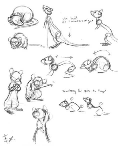 Anatomy Simplified, Rat Anatomy, Mouse Sketch, Head Angles, Mouse Drawing, Animal Illustration Art, Nature Sketch, A Rat, Drawing Studies