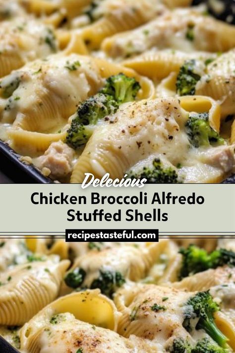 Creamy and cheesy stuffed pasta shells filled with tender chicken and broccoli, all coated in a rich Alfredo sauce. Cheesy Stuffed Pasta, Broccoli Stuffed Shells, Broccoli Chicken Recipes, Alfredo Stuffed Shells, Chicken Alfredo Stuffed Shells, Chicken Stuffed Shells, Chicken Broccoli Alfredo, Jumbo Pasta Shells, Stuffed Pasta