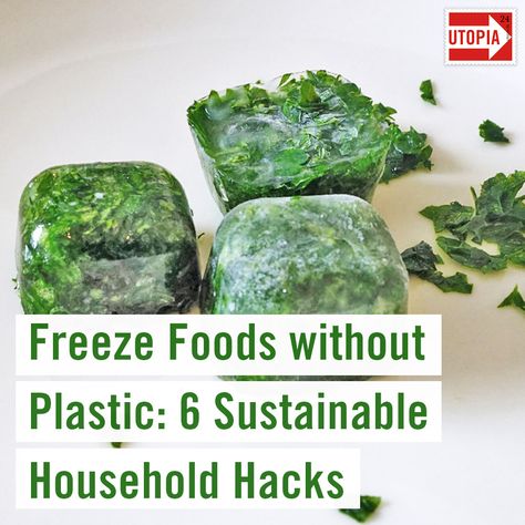 Plastic free living: When it comes to freezing leftovers or meal prep, many of us turn to plastic freezer bags or containers made of plastic. However, plastic isn’t great for your health or the environment. Here are some sustainable plastic-free alternatives to storing your food in conventional containers. #lowwaste #zerowaste #wastefree #zerowastehome #plasticfree #ecolife #livegreen #learngreen #sustainablehome #zerowasteliving #zerowastetips #goingzerowaste #ecofriendly #reducewaste Pre Cooked Meals, Plastic Free Food Storage, Freeze Food, Freezing Leftovers, Plastic Free Kitchen, Disposable Food Containers, Freezer Containers, Plastic Free Living, Beeswax Food Wrap