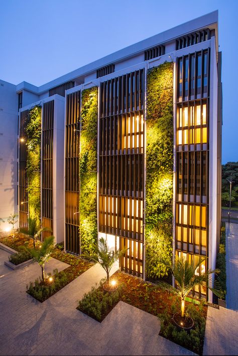 New Zealand’s tallest exterior green walls feature in new Auckland apartments Social Housing Architecture, Biophilic Architecture, Vertikal Garden, Hotel Facade, Apartments Exterior, Green Apartment, Green Facade, Hotel Exterior, Facade Architecture Design