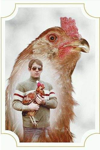 Horrendously Awful Glamour Shots with Pets | from S&U via Pleated-Jeans.com Holding A Chicken, Awkward Photos, Awkward Family Photos, Bad Photos, 웃긴 사진, Funny Christmas Cards, Family Humor, A Chicken, E Card