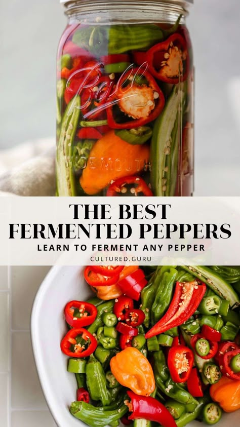 How do you make fermented peppers? How much salt should you use in a pepper fermentation recipe? Are fermented peppers good for gut health? Good news: We're here to answer all of your questions and more with our Easy Pepper Fermentation Recipe! Learn how to ferment any type of pepper at home. #fermentation #peppers How To Ferment Peppers For Hot Sauce, Fermented Cayenne Peppers, Fermented Peppers, Canning Basics, Wild Fermentation, Good For Gut Health, Fermenting Vegetables, Pickled Recipes, Fermented Vegetables Recipes