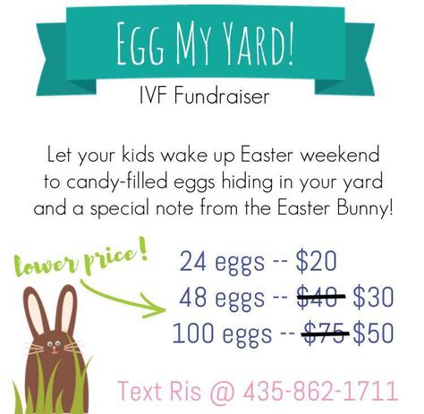 Egg My Yard, Baseball Fundraising Ideas, Adoption Fundraiser Ideas, Easter Fundraiser, Baseball Fundraiser, Donation Ideas, Adoption Fundraiser, Church Fundraisers, Pto Ideas