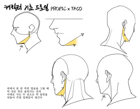 Taco Drawing, Face Angles, 얼굴 드로잉, Anatomy Tutorial, 얼굴 그리기, Human Anatomy Drawing, Drawing Heads, Anatomy Sketches, Body Reference Drawing