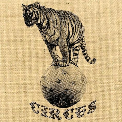 Circus Tiger, Circus Seal, Childrens Wallpaper, Steampunk Circus, Tiger Vintage, Circus Lion, Cactus Drawing, Animal Lion, Circus Poster