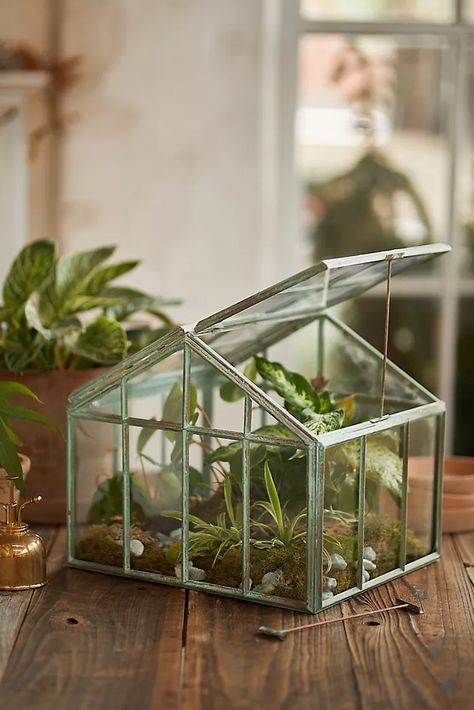 Terrariums: Glass Terrariums + Terrarium Supplies | Terrain Terrarium Home Decor, 3d Printed Terrarium, Cute Terrarium, Fishbowl Terrarium, Greenhouse Terrarium, Spider Tank, Tabletop Terrarium, Tank Terrarium, Wardian Case