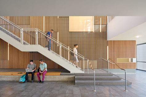 Academic Office, University Interior Design, Architecture Facade, Commercial And Office Architecture, Office Architecture, Building Stairs, Stairs Architecture, Stair Case, Zaha Hadid Architects