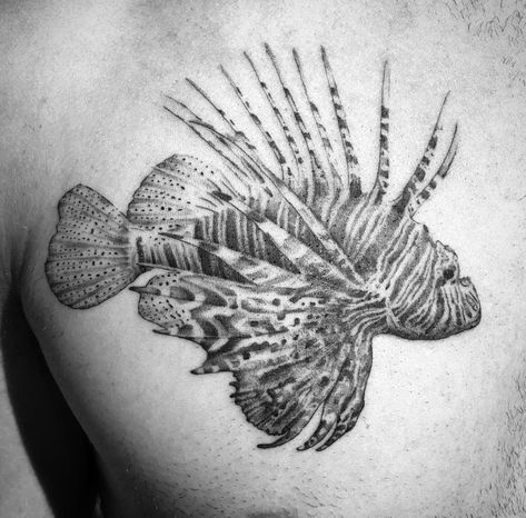 Lion Fish Tattoo, Lionfish Tattoo, Fish Tattoo, Lion Fish, Tattoo Inspo, Maple Leaf Tattoo, Fish Tattoos, Tatting, Body Art