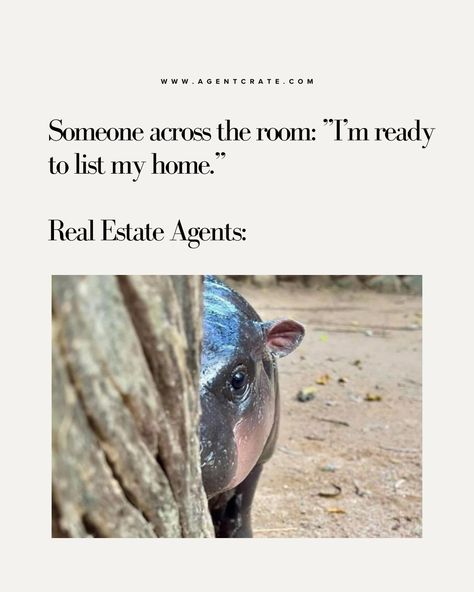 Real Estate meets Moo Deng. If there is one thing we can all agree on it's she couldn't get any cuter. Which is your favorite? Comment below! ❤️ 🏠 Local House, Real Estate Humor, Real Estate Houses, Social Marketing, Real Estate Agent, Real Estate, Humor, Marketing, Humour