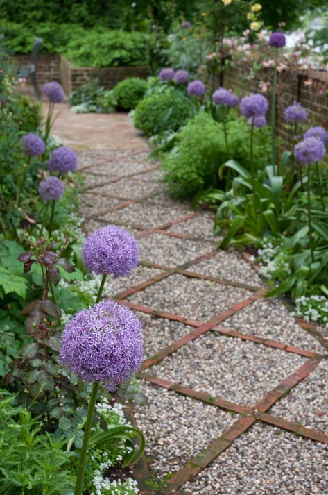 Allium Bulbs | Item # 6019 Globemaster | For Sale Allium Garden, Pinterest Plant, Allium Giganteum, Allium Flowers, Succession Planting, Pallets Garden, Garden Journal, Spring Bulbs, Garden Path