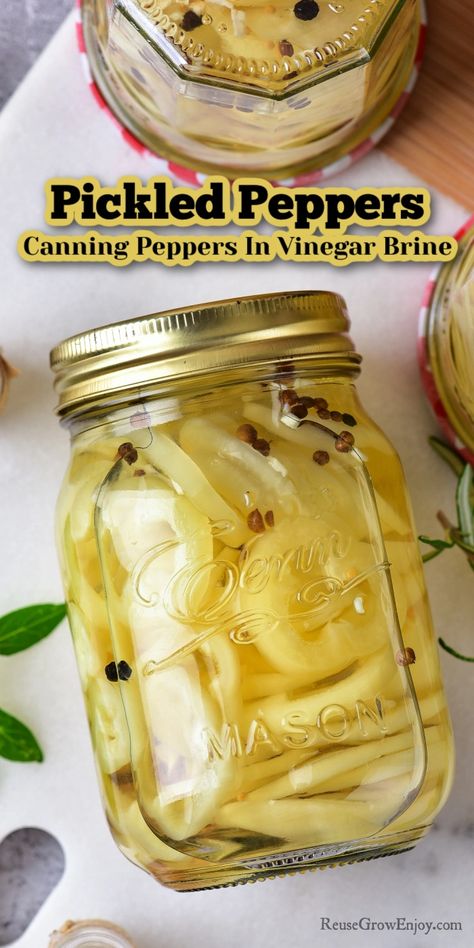 Waterbath Canning Peppers, Pickles Peppers Recipe, How To Can Peppers In Vinegar, Canning Hot Peppers Vinegar, Canning Wax Peppers, Banana Pepper Brine Recipe, Hot Peppers In Vinegar, Pickling Peppers Canning, Pickled Green Peppers Recipe