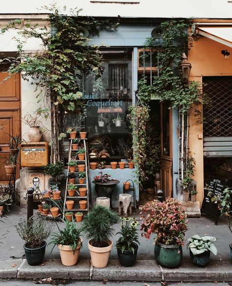 Flower Shop Interiors, Flower Shop Decor, Flower Shop Design, Exterior Inspiration, Bar Vintage, Flower Store, Florist Shop, Paris Shopping, Floral Studio