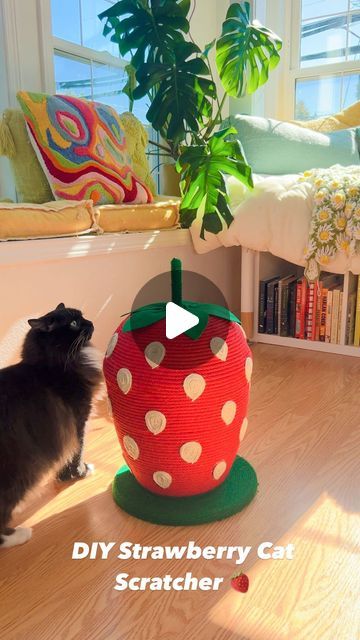 Cat Toy Box Ideas, Cat Scratcher Diy, Cat Hammock Tutorial, Cat Toy Diy, Diy Cat Scratcher, Diy Cat Bed, Strawberry Cat, Diy Instagram, Diy Cat Toys