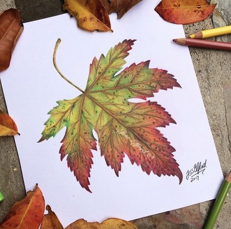 Autumn Drawing Ideas, Watercolor Pumpkins Autumn, Maple Leaf Drawing, Fall Leaves Drawing, Autumn Drawing, Landscape Drawing Tutorial, Drawing Ideas Pencil, Drawing Autumn, Leaves Drawing