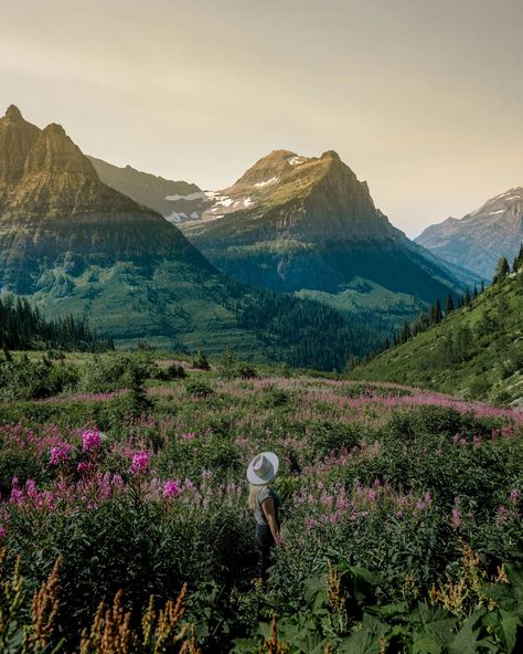 The BEST things to do in Glacier National Park Montana including a map, best photo spots and best Glacier National Park hikes! Details on Hidden Lake, Bowman Lake, St. Mary Falls, Virginia Falls, Trail of the Cedars, Going-to-the-sun road, the highline loop hike, Big Bend, Lake McDonald, Polebridge and more! Plus how to get there, where to stay in Glacier, details for camping in Glacier, and everything you need to know before you go! Going To The Sun Road Glacier, Highline Trail Glacier National Park, Bowman Lake Montana, Glacier National Park Photos, Lake Mcdonald Glacier National Park, Lake Mcdonald Montana, Glacier National Park Hikes, Montana Glacier National Park, Montana Hiking