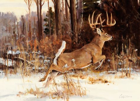 "Dense Cover"   Ken Carlson     The Coeur d'Alene Art Auction Whitetail Deer Pictures, Watercolour Animals, Deer Artwork, Deer Drawing, Deer Pictures, Hunting Art, Deer Tattoo, Deer Painting, Wildlife Prints