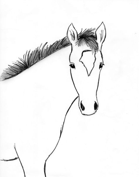 Draw this horse step by step! This drawing is actually of a foal, which is why its mane is shorter. You can download the reference picture here. To begin, start with the basic shapes you see. This will help you get the proportions right before you start adding details. Draw these shapes VERY LIGHTLY, as you’ll […] Draw Horse Easy, Horse Face Drawing, Easy Horse Drawing, Horse Head Drawing, Draw A Horse, Horse Art Drawing, Horse Sketch, Drawing Heads, Drawing Step