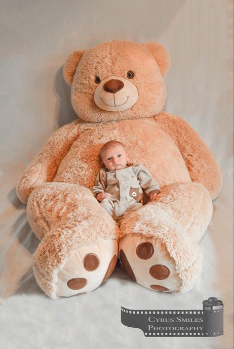 Baby Photoshoot With Teddy Bear, Teddy Bear Baby Photoshoot, Teddy Bear Photoshoot Ideas, Teddy Bear Photoshoot, Baby Boy Newborn Photography, Baby Milestones Pictures, Monthly Baby Pictures, Teddy Bear Images, Newborn Photography Boy