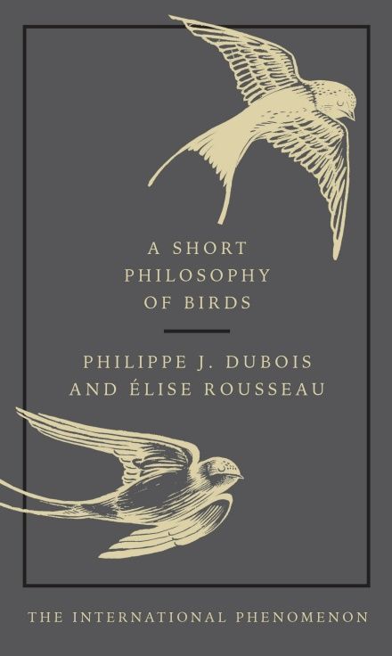 A Short Philosophy of Birds - Philippe J Dubois and Elise Rousseau Bird Book, French Books, Penguin Books, Latest Books, Amazon Book Store, Nonfiction Books, Book Publishing, Book Lists, Natural World